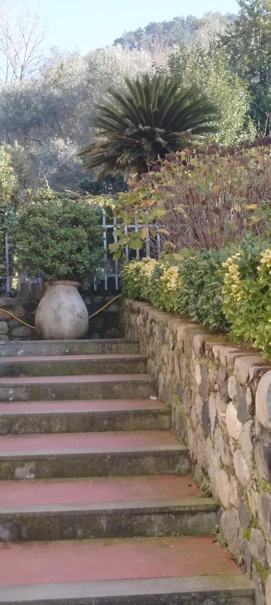 Apartmán Oasi Felice Levanto Exteriér fotografie
